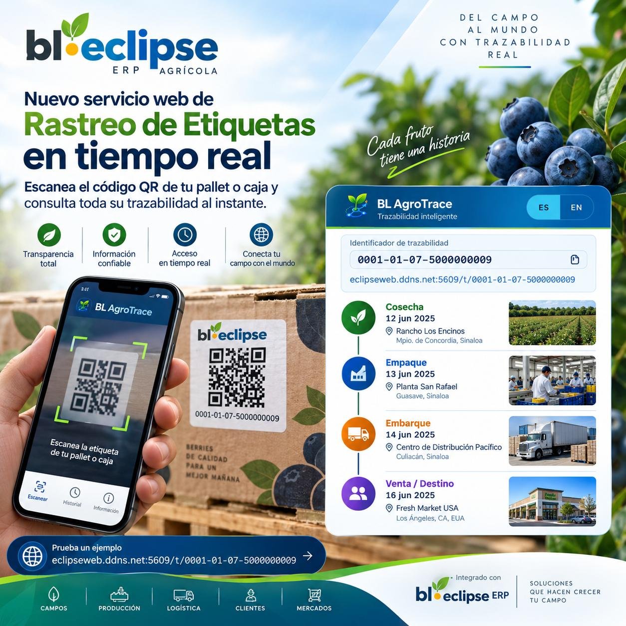 BL AgroTrace: nuevo servicio web de rastreo de etiquetas en tiempo real