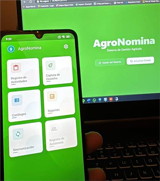 Campo agrícola